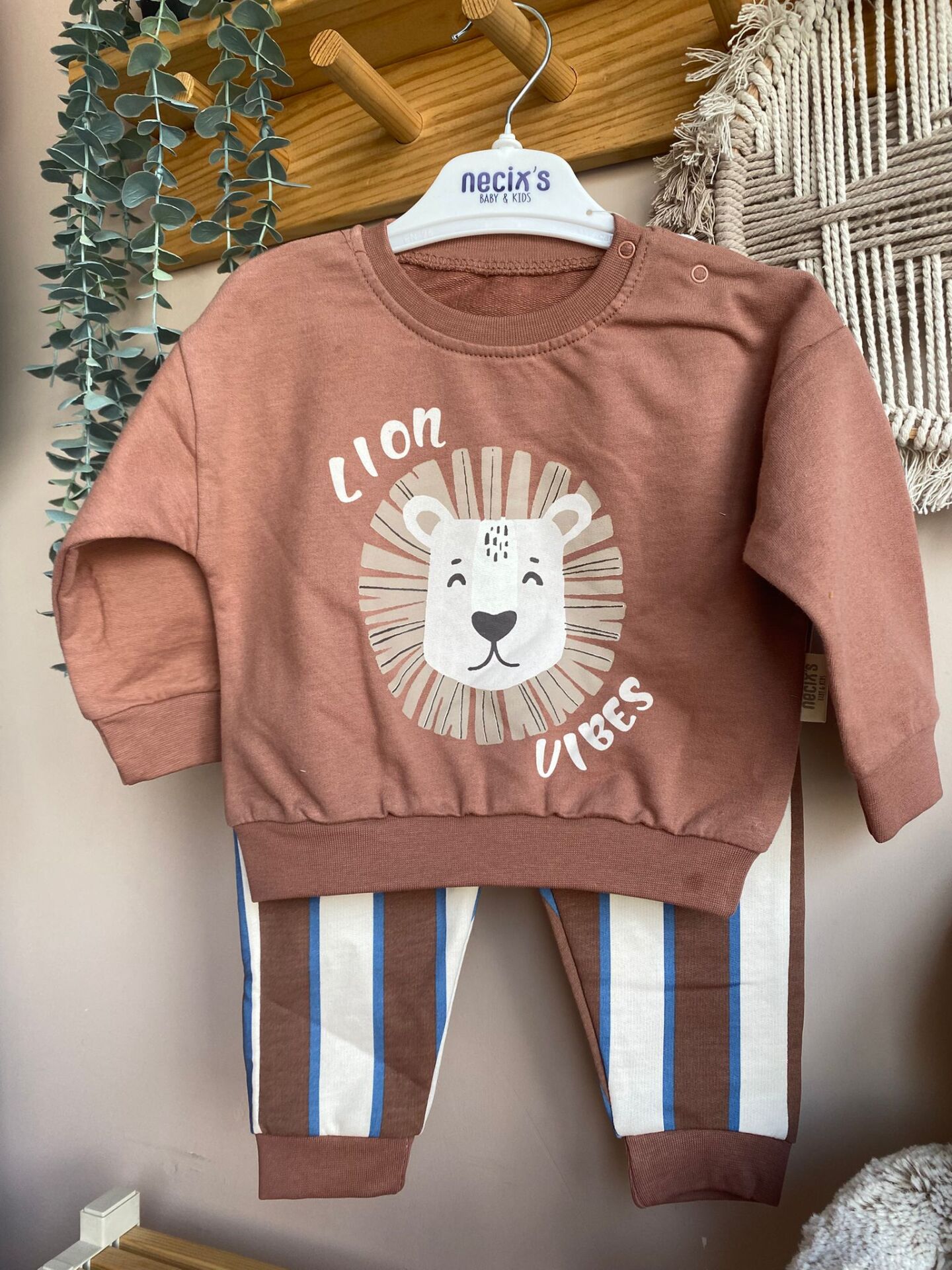 Lion ikili takım kahve